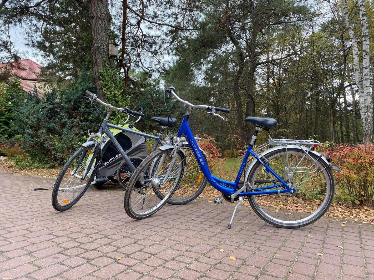 Park Rekreacyjno-Biznesowy Las Woda Wilga Buitenkant foto