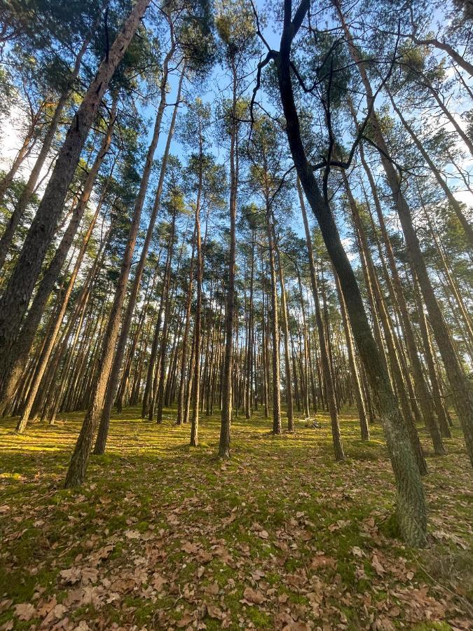 Park Rekreacyjno-Biznesowy Las Woda Wilga Buitenkant foto