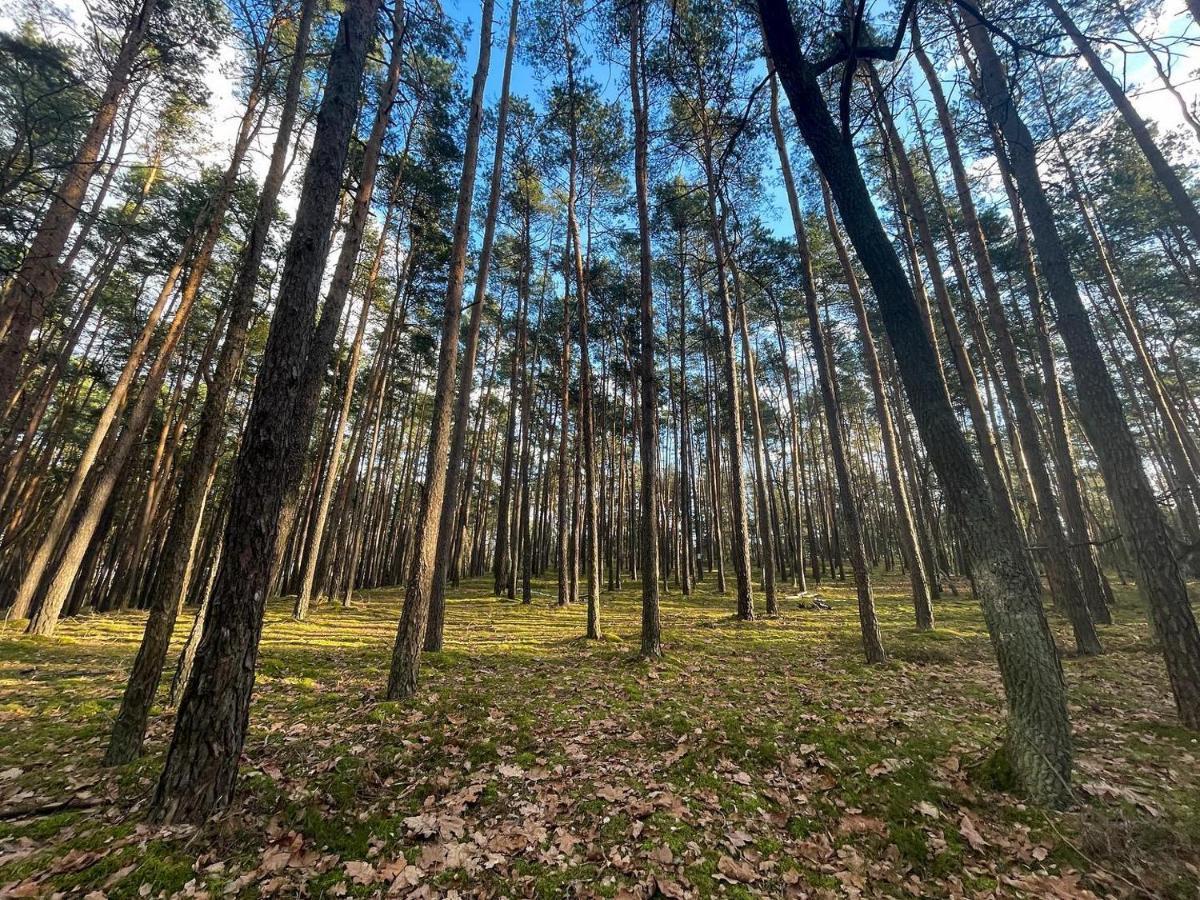 Park Rekreacyjno-Biznesowy Las Woda Wilga Buitenkant foto