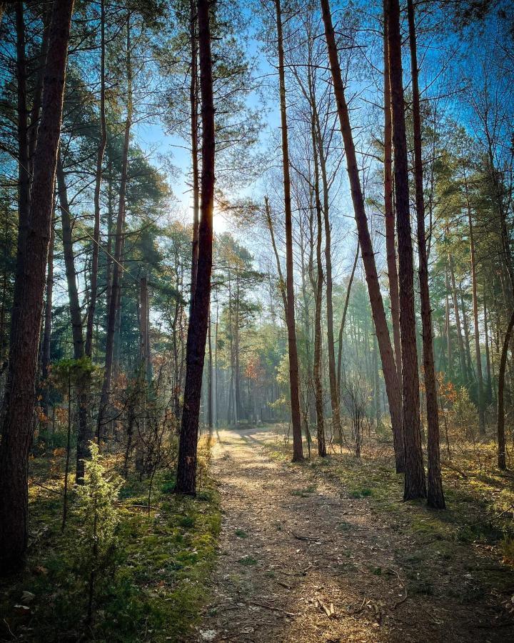 Park Rekreacyjno-Biznesowy Las Woda Wilga Buitenkant foto