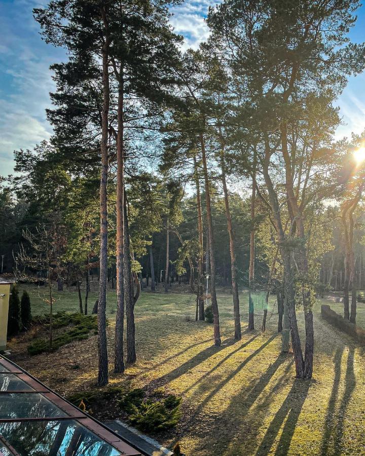 Park Rekreacyjno-Biznesowy Las Woda Wilga Buitenkant foto